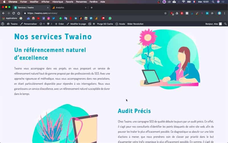 Capture d'écran site Twaino présentant services audit SEO et conseil digital