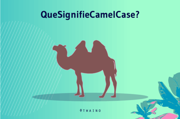 d-finition-camel-case-twaino